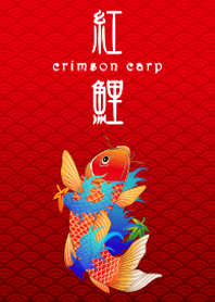 紅鯉 -crimson carp-