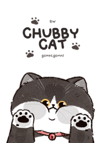 Chubby Cat : Cow Cat