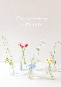 Flowers blooming in the field_01