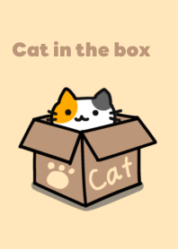 Cat in the box :- (revised version)