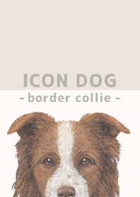 ICON DOG - ボーダーコリー - BEIGE/06