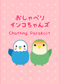 Chatting Parakeet