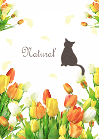 Light tulip fragrance16.