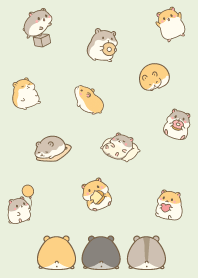 Cute fat hamster./6