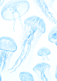Translucent Jellyfish Symphony 2