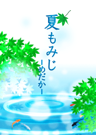 夏もみじ　めだか