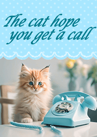 The cat hope you get a call - light blue