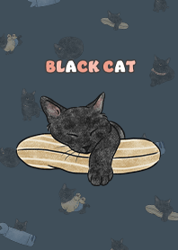 blackcat2 / indigo
