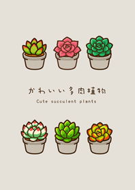 私の多肉植物(灰褐色)
