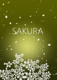 Premium SAKURA1 金屏風 桜シリーズ9