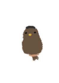 general bird staring