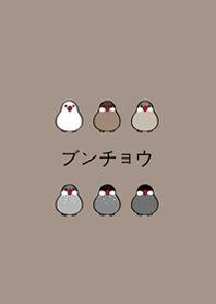 私の小さなブンチョウ（茶色）