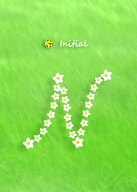 Initial N / Green