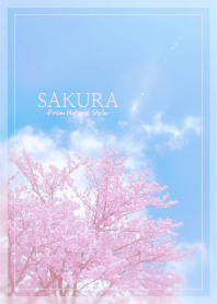 SAKURA 11 / Natural Style