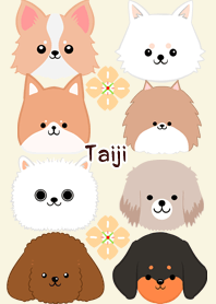 Taiji Scandinavian dog style3