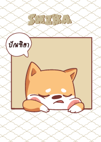 ปัณฑิตา ใครไม่บะ ชิบะ 4 V12