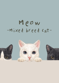 Meow - Mixed breed cat 02 - BLUE GRAY