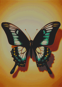 Simple beauty spread wings butterfly 12