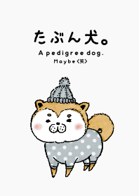 Maybe a dog