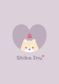 Shiba Inu2 Peach / PurplePink