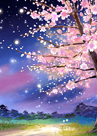 Beautiful night cherry blossoms#381