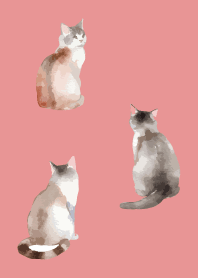 light pink まったりしたネコ2