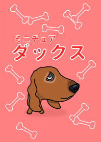ミニチュアダックス