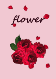 รูปภาพของดอกไม้2