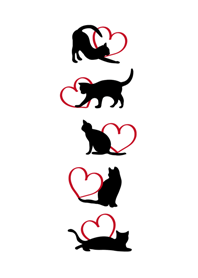 黒い猫の愛