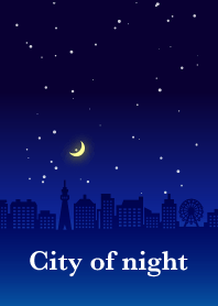 City of night(navy blue)