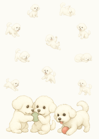 Cute happy bichon frise.11