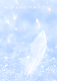 Swan Feather Photo #1-17Not AI
