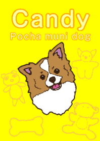 pochapocha cute candy yellow