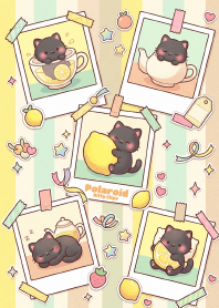Polaroid Kitty Clips