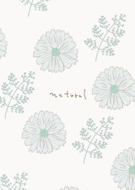 Dull color flowers and leaves5 Japan