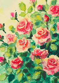 Beautiful rose flower(R4449)