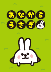 あなからうさぎ