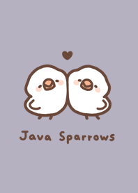 Java Sparrows /Gary Violet.