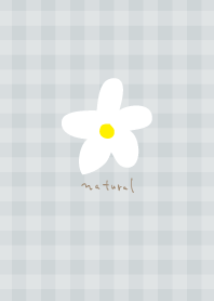 White flower natural5 from Japan