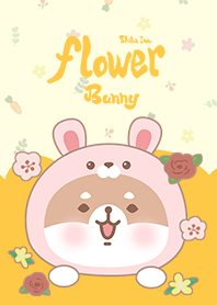 misty cat-(Shiba Inu)Flower Bunny yellow