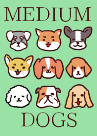 Medium Dogs Theme