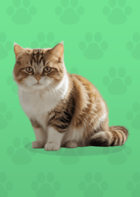 귀여운 먼치킨 테마 Green 02