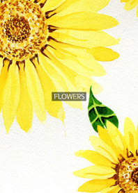 water color flowers_262