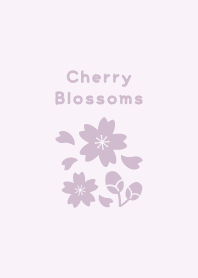 Cherry Blossoms13.PurplePink.