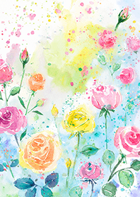 Beautiful rose flower(R4882)