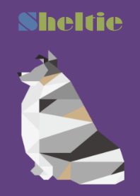 Sheltie(Blue merle)