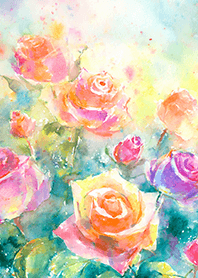 Beautiful rose flower(R2251)