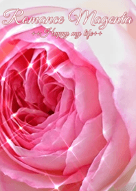 Romance Magenta