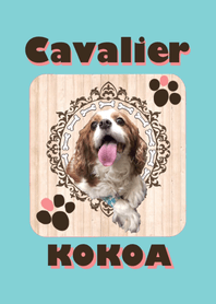 Cavalier Kokoa,wood ver.