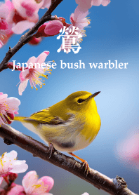 うぐいす vol.5
